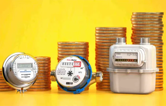 Half Hourly Meter for Business
                                                        Electricity